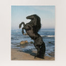 Search for sea horse puzzles Friesian