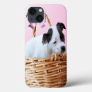 Search for baskets iphone cases For her