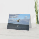 Search for gulls cards Flight