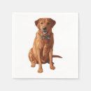 Search for labrador napkins Dog lover