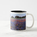 Search for texas bluebonnet mugs Indian paintbrush