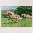 Search for funny horse puzzles Animal