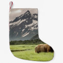 Search for bear christmas stockings Nature