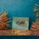 Search for danita delimont plaques Elk