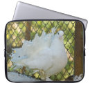 Search for white doves electronics Pigeon