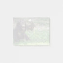 Search for ape cards invites Cute