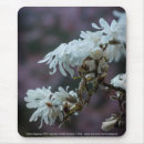 Search for pink flowering tree electronics Nature