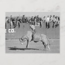 Search for rodeo postcards Western
