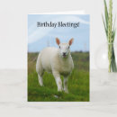 Search for lamb birthday cards Cute
