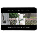 Search for the yard magnets Puppy