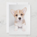 Search for corgi thank you cards Queen elizabeth's