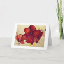 Search for amaryllis christmas cards Red