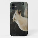 Search for white wolf iphone cases Nature