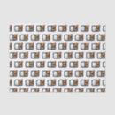 Search for rice tissue paper Fish