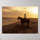 Search for horse breed posters Sea