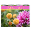 Search for dahlia calendars Blossoms