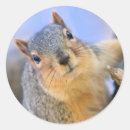 Search for super cute stickers Wildlife