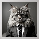 Search for maine coon cat posters Funny