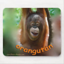Search for borneo mousepads Wildlife