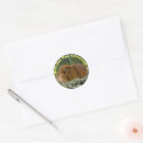 Search for small pig stickers Nature