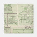 Search for franklin magnets Col