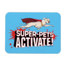 Search for krypto magnets Superhero pet movie
