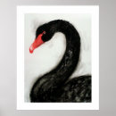 Search for black swan bird posters Nature