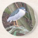 Search for herons barware Photograph