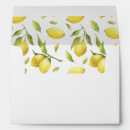 Search for lemon envelopes Address