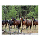 Search for vintage equestrian horse posters Rustic