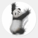 Search for panda graphic stickers Cute