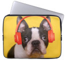 Search for purebred electronics Cute