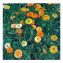 Search for moser Flowers