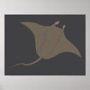 Search for ocean creatures posters Stingray