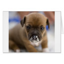Search for mucky Cute
