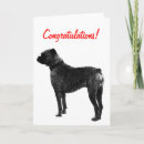 Search for designer dog cards For pets