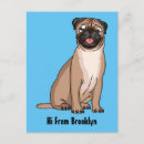 Search for cartoon bull postcards Dog
