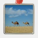 Search for camel christmas tree decorations Desert