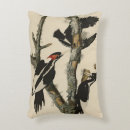 Search for audubon birds cushions Illustration