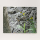 Search for bank photography Nature