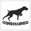 Search for drahthaar stickers Wirehaired