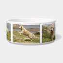 Search for golden retriever bowl dog bowls Animal