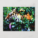 Search for scent postcards White