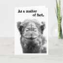 Search for sarcastic cards Cute