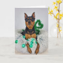 Search for pat cards St patrick's day