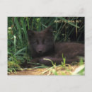 Search for kit postcards Nature