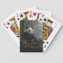 Search for bamboo playing cards Giant panda