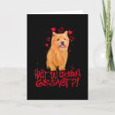 Search for norwich postcards Puppy