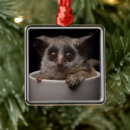 Search for monkey christmas tree decorations Young animal