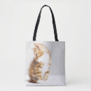 Search for studio shot bags Kitten